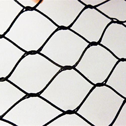 Black Oxide Zoo Mesh: A Versatile Safety Netting System