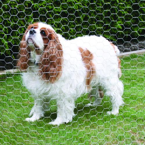 Hexagonal Wire Mesh for Zoo Enclosures | Protect Animals 